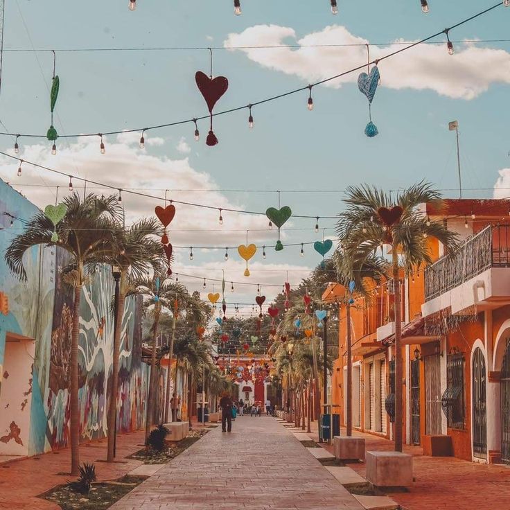 Descripción de la imagen